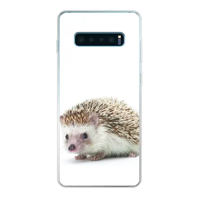 Produktbild von MuchoWow® Handyhülle Schutzhülle Hülle für Samsung Galaxy S10 Lite Igel - Tiere - Weiß Silikon Softcase Handy Hülle - Schutz