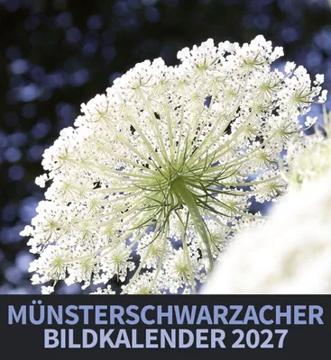 Produktbild von Münsterschwarzacher Bildkalender 2027