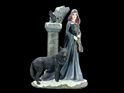 Produktbild von Dunkelheit in der Kapuze mit Wolf – Dekofigur detailreich ausgearbeitet, 24 cm × 14 cm × 37 cm, Modell WU76301VA