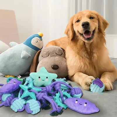Produktbild von Interaktives Hundespielzeug Set für kleine und mittelgroße Hunde - 20 Stück Kauspielzeug und Zahntrainingsset