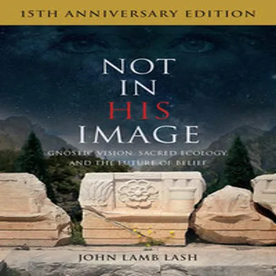 Produktbild von Not in His Image (15th Anniversary Edition)
