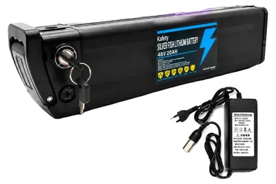 Image de Batterie lithium-ion, capacité de 20 Ah, compatible avec les véhicules électriques, connecteur Silverfish-XT60, 48V