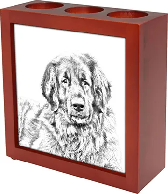 Produktbild von Leonberger - Stifthalter mit Hund, Schreibtischorganizer mit Aufdruck, personalisierte Schreibtischdekoration der Marke Art-Dog