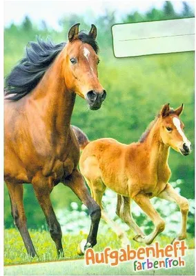 Image de VERLAG: HÄFFT Lernfreunde Aufgabenheft Farbenfroh Mini A6 1 Schuljahr Motiv "Pferde" EH, Zusatz sortenrein