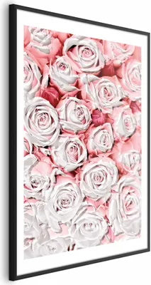 Produktbild von Posterpapier Poster - White Roses 29.7x42 cm Blumen b-C-0337-ao-a