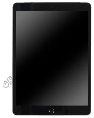 Image de APPLE MK4E3FD/A iPad 25,91cm 10,2Zoll Cell. 256GB Gris A13 Bionic Chip Ecran Retina