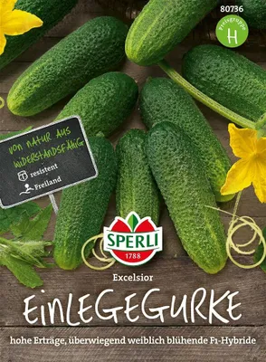 Produktbild von Einlegegurke  ''Excelsior F1''