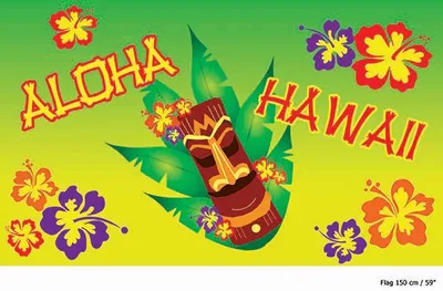 Image de Flagge Alo ha Hawaii env. 150 x 90 cm