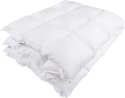 Produktbild von Sanders-Kauffmann Weidegans Daunenbettdecke warm 135 x 200 cm ausgezeichnete Qualität für erholsamen Schlaf
