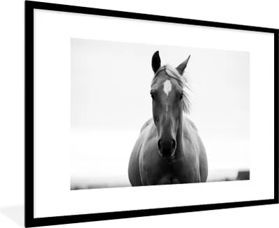 Produktbild von MuchoWow® Gerahmtes Poster Pferd - Tier - Schwarz - Weiß 90x60 cm - Poster mit Schwarzem Bilderrahmen Wandposter Rahmen Foto Bilder - Wanddekoration - Fotos