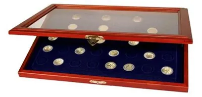 Image de SAFE 5867 Vitrine à monnaie avec cavités rondes