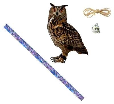 Produktbild von Eule Zum Erschrecken Von Vögeln Hängend Gartenornament Für Garten Gartendekoration Vogelschreck Abschreckend Für Vögel