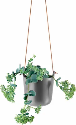 Obrázok produktu pre Eva Solo kvetináč na bylinky - samozavlažovací - 15 cm