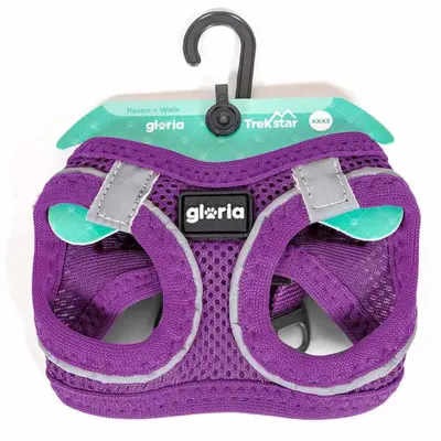 Zdjęcie produktu dla Szelki dla psa gloria 41,4-43 cm fioletowe s 29,4-32,6 cm