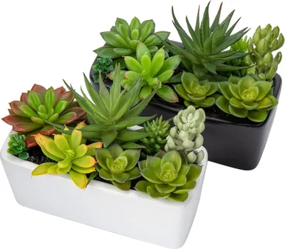 Obrázok produktu pre sada 2 mini sukulentov umelých rastlín v keramickom kvetináči