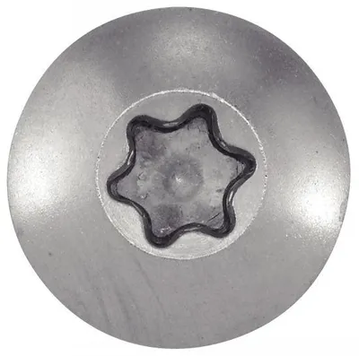 Image de Vis penture Torx A4 6X50 boîte de 100 - ACTON - 643106X50