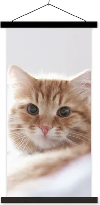 Produktbild von MuchoWow® Textilposter Katze - Rot - Bett - Mädchen - Kinder - Jungen 40x80 cm mit schwarzem Rahmen - Wandemalerei