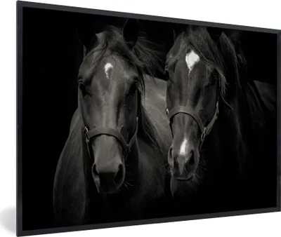 Produktbild von MuchoWow® MuchoWow® Gerahmtes Poster Pferde - Tiere - Schwarz 30x20 cm - Poster mit zchwarzem Bilderrahmen - Kunstdruck - Bild-Poster