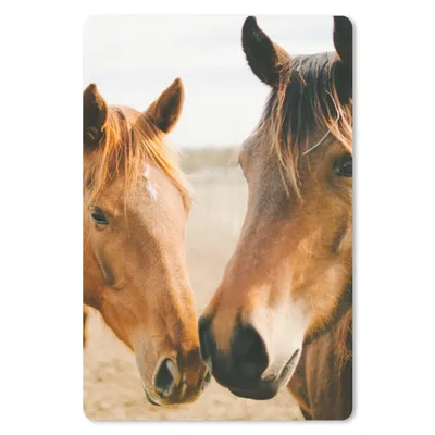 Produktbild von MuchoWow® Mauspad Mousepad Pferd - Strand - Tiere 18x27 cm - Mousepads - Maus Mat - Pad - Mausunterlage