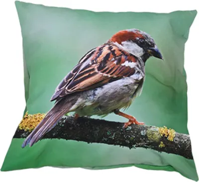 Produktbild von Esschert Design Outdoorkissen S mit Haussperlingmotiv 40 x 40 cm aus Polyester