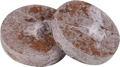 Zdjęcie produktu dla Płyty samoprzylepne do skutecznej uprawy roślin z siatką o drobnych oczkach – 50 sztuk – 35 x 72 x 197 cm