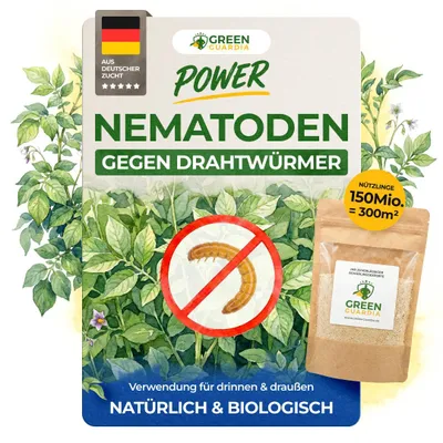 Produktbild von Nematoden gegen Drahtwürmer – 150 Mio. - Effektiv Drahtwürmer bekämpfen, Mittel gegen Drahtwürmer, Mittel gegen Drahtwurm, Drahtwürmer Kartoffeln