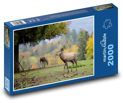 Obrázek produktu pro martinpuzzle - Puzzle 2000 - Příroda - jelen, zvíře