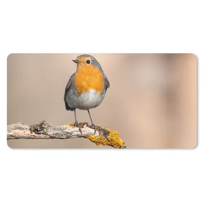 Produktbild von MuchoWow® Schreibtischunterlage Rotkehlchen - Vogel - Zweig - Tiere 80x40 cm - XXL Mauspad - Gaming Mauspad