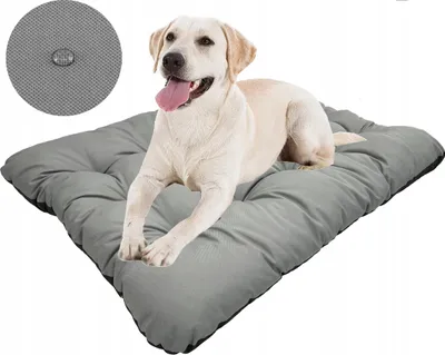 Produktbild von Hundebett PRESTIGE Kissen 100x70 cm wasserdicht grau