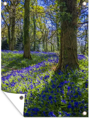 Produktbild von MuchoWow® 30x40 cm Outdoor-Poster Gartendeko Sichtschutz Garten Poster für den Garten  Wald - Frühling - Blumen