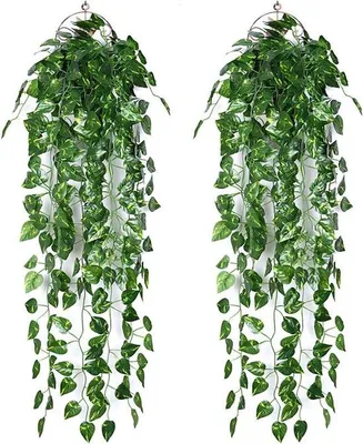 Immagine prodotto di Set da 2 rampicanti di edera artificiali verdi per decorazioni da parete
