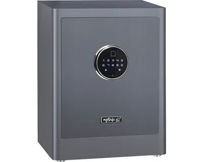 Obrázek produktu pro Basi  2020-0001-GRAU mySafe Premium 450 Möbeltresor Zahlenschloss Fingerabdruckschloss