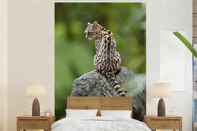 Produktbild von MuchoWow® Fototapete für Wohnzimmer oder Schlafzimmer Wandtapete Vinyl Motivtapete Baumkatze auf Stein - 225x350 cm - Schlafzimmer tapete