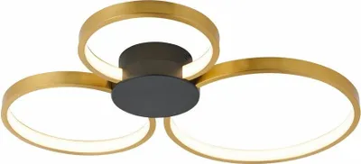 Obrázek produktu pro LED stropní svítidlo Condida 24 W, 3000–4000 K, 1920 lm, plast, černozlaté, rozměry: 6 × 58 × 51,5 cm, IP20, Reality