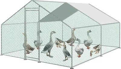 Immagine prodotto di Pollaio 3x4x2m Casa del pollame Gabbia Recinto all'aperto Casa del pollo Impermeabile per pollame