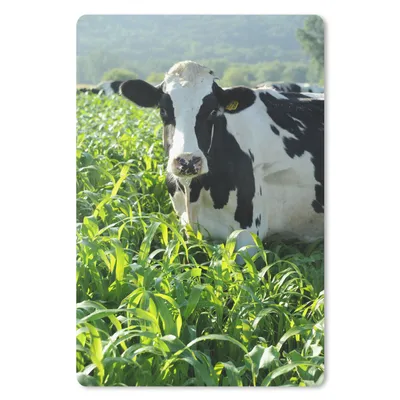 Produktbild von MuchoWow® Mauspad Mousepad Kuh - Gras - Berg - Tiere 18x27 cm - Mousepads - Maus Mat - Pad - Mausunterlage