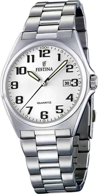 Image de Festina montre homme F16374/9 acier inoxydable montre bracelet classique argent D2UF16374/9