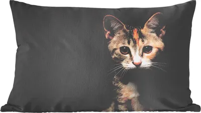 Produktbild von MuchoWow® Zierkissen Sofakissen Wohnzimmer Dekokissen 50x30 cm Katze - Schwarz - Porträt - Wohnzimmerdekoration - Polster mit Photo