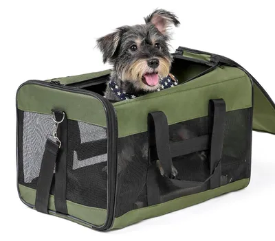 Image de Sac de transport pour chiens et chats, dimensions : 51 x 31 x 31 cm, couleur : vert