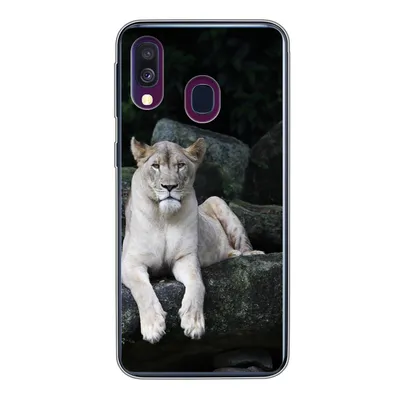 Produktbild von MuchoWow® Handyhülle Schutzhülle Hülle für Samsung Galaxy A40 Löwe - Wilde Tiere - Porträt Silikon Softcase Handy Hülle - Handy-Tasche