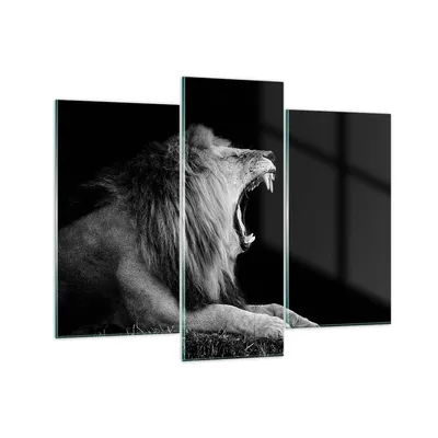 Produktbild von Bilder auf glas - 3 Teile - Löwe Gähnen Schwarz und Weiß - 130x100cm - Glasbilder - Wandbilder - Bilder - Wanddekoration aus Glas - Glas Bilder - Wandbild auf Glas - GCB130x100-4252