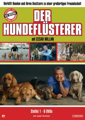 Produktbild von Der Hundeflüsterer - Vol. 1