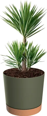Obrázek produktu pro Obal na květináč s podšálkem kulatý Ø 30 cm H 28 matný 14,5 L zelený