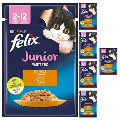 Produktbild von Felix Fantastic Junior Futter für Kätzchen Huhn in Gelee Beutel 6x85g