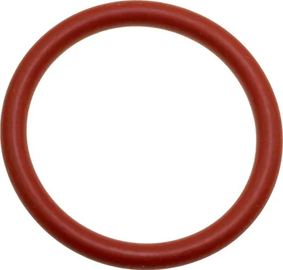 A single red o-ring on a white background.