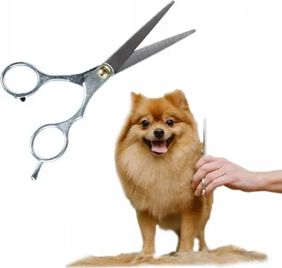 Obrázok produktu pre Profesionálne nožnice Petstory na starostlivosť o domáce zvieratá