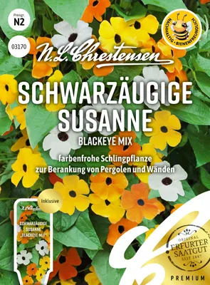Artikelbild 1 von 'Schwarzäugige Susanne Blackeye Mix' aus der Kategorie Schwarzäugige Susanne Samen