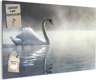 Produktbild von Magnettafel 90x60cm magnetisch & beschreibbar Metall-Board - Schwimmender Schwan