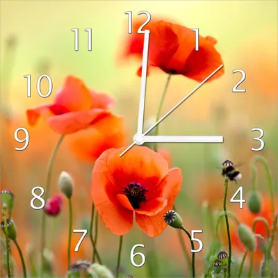 Produktbild von Wallario Design Wanduhr Mohnblumenblüten aus Echtglas, Größe 30 x 30 cm
