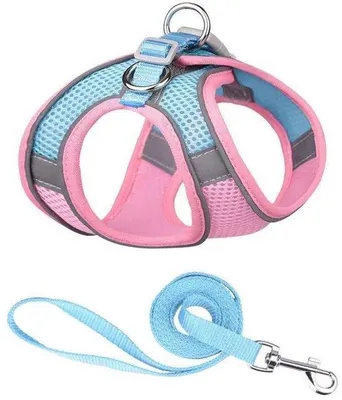 Produktbild von Kleiner Hundehalsband - Anti-Flucht-Halsband - Verstellbarer Hundehalsband - Reflektierender Hundehalsband - Kleine und mittelgroße Größe - für kleine Hunde